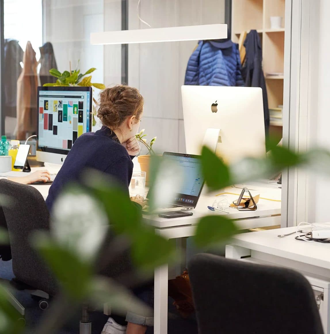 A person seen from behind at a desk in a shared workspace, working at a laptop with plants and a window nearby